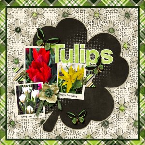 Tulips