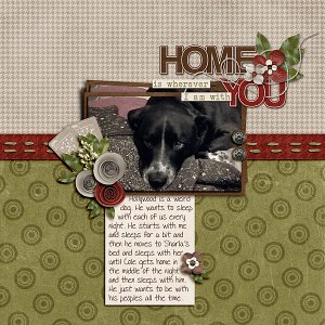 Home Is Wherever I Am With You