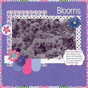 Blooms