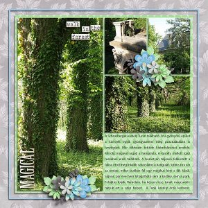 Pretty forest