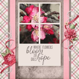 Bloom