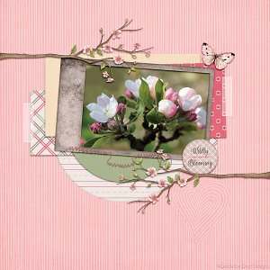 Wildly Blooming