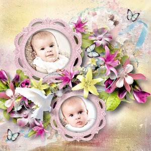 Innocence