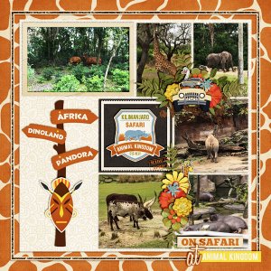 Safari