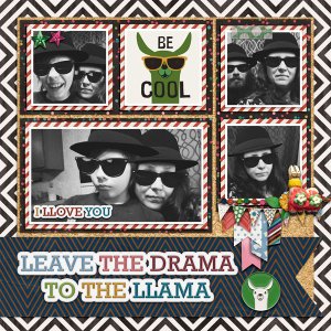 leave the drama to the llama