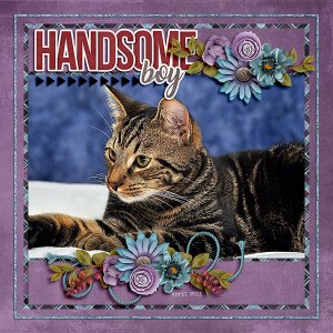 handsome boy