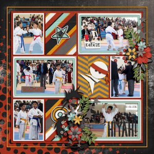 karate medals