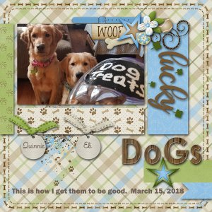 Lucky Dogs