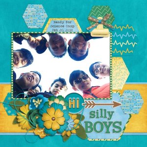 Silly Boys