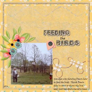 Feeding The Birds