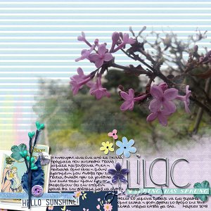 Lilac