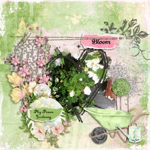 Bloom19