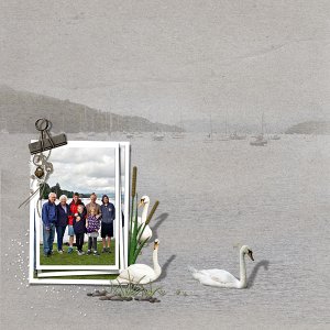 Fell Foot on Lake Windermere
