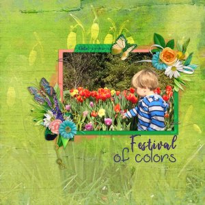Festival of colors