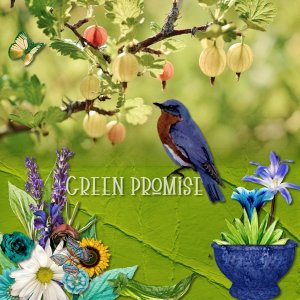 Green Promise