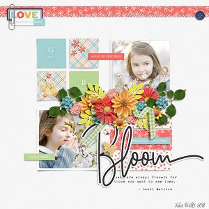 Bloom