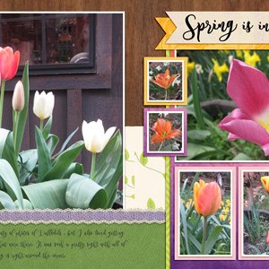 Spring in Bloom