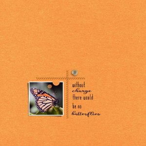 butterflies