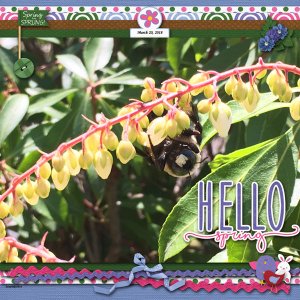 Hello Spring!
