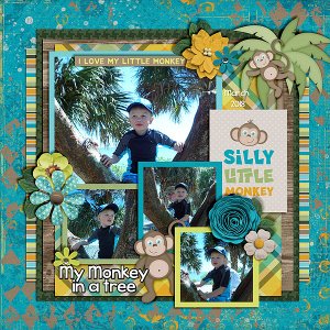 doyle-monkey-in-a-tree