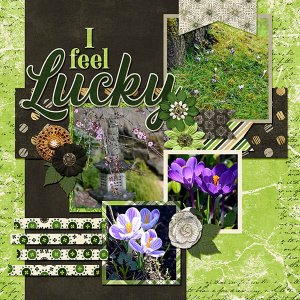I feel Lucky - Spring is Coming