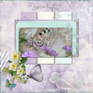 Butterflies