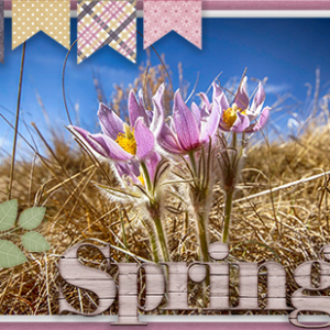 Spring