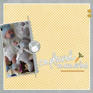 Captured Memories