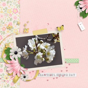 March Inspiration - Plum blossoms