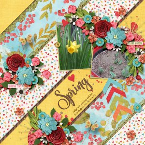 Spring Has Sprung