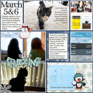 March 5-6 2018 PL