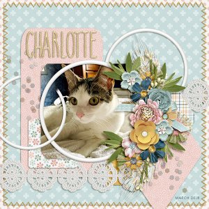 charlotte
