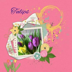 Tulips6