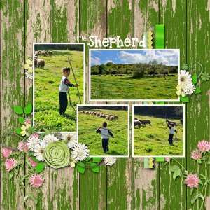 shepherd