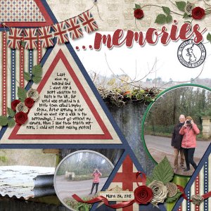 Traffic mirrors