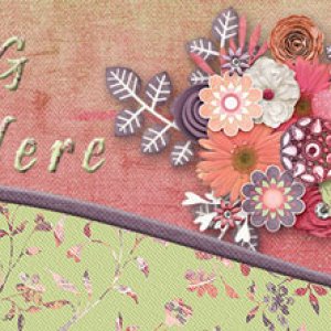 FB Header-Spring