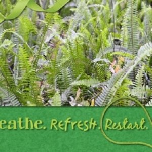 breathe