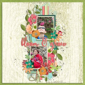 bloom and grow