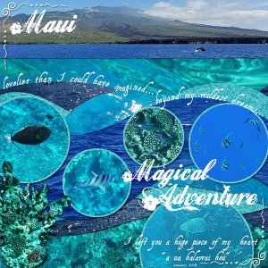 Week 5-Three "firsts"-Hawaii, an ocean, + snorkeling