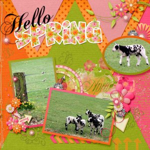 Hello spring!