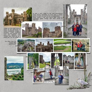 Conwy Castle RHS