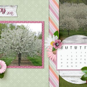 Cherry Trees