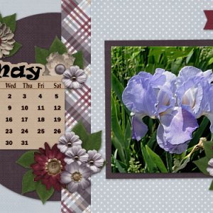 May 2018 Desktop