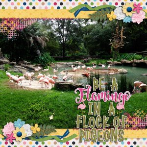 Be A Flamingo...