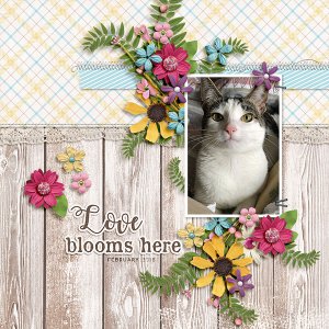 love blooms here