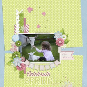 Mila-spring 2017