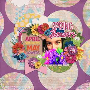 Spring Flowers