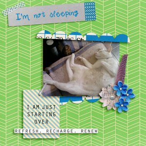 Not-sleeping-Refresh-Page-by-Pixelily-Designs