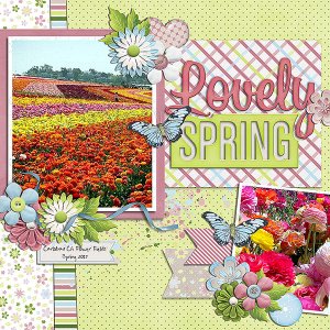 lovely spring