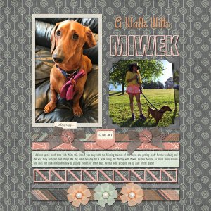 A Walk With Miwek
